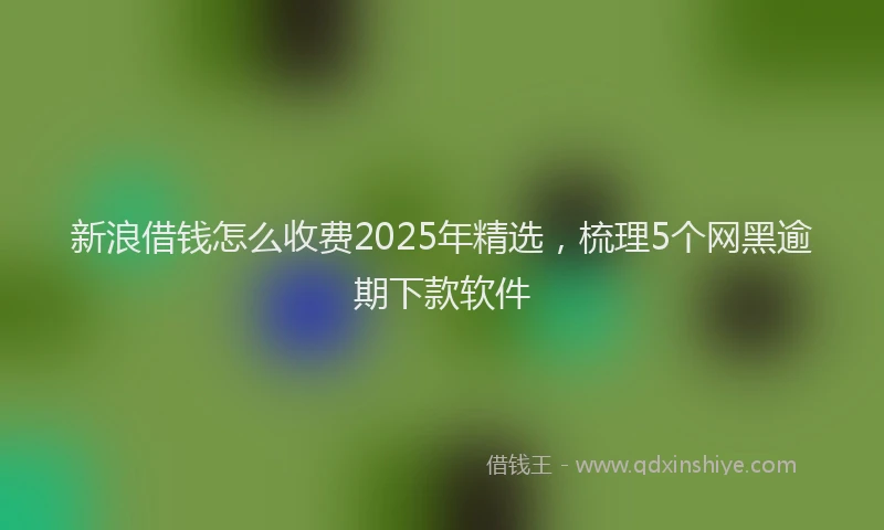 新浪借钱怎么收费2025年精选，梳理5个网黑逾期下款软件