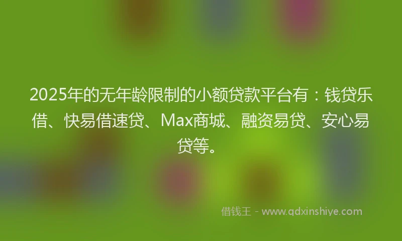 2025年的无年龄限制的小额贷款平台有：钱贷乐借、快易借速贷、Max商城、融资易贷、安心易贷等。
