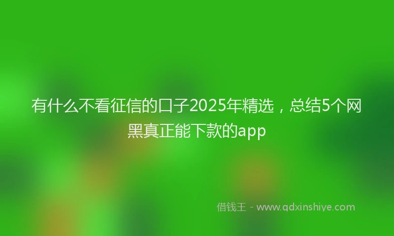 有什么不看征信的口子2025年精选，总结5个网黑真正能下款的app