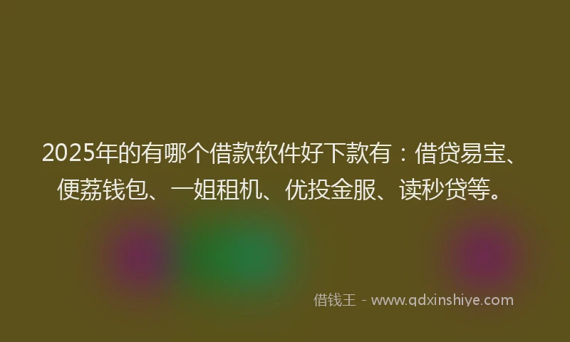 2025年的有哪个借款软件好下款有：借贷易宝、便荔钱包、一姐租机、优投金服、读秒贷等。