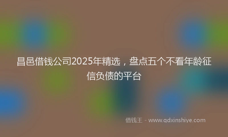 昌邑借钱公司2025年精选，盘点五个不看年龄征信负债的平台