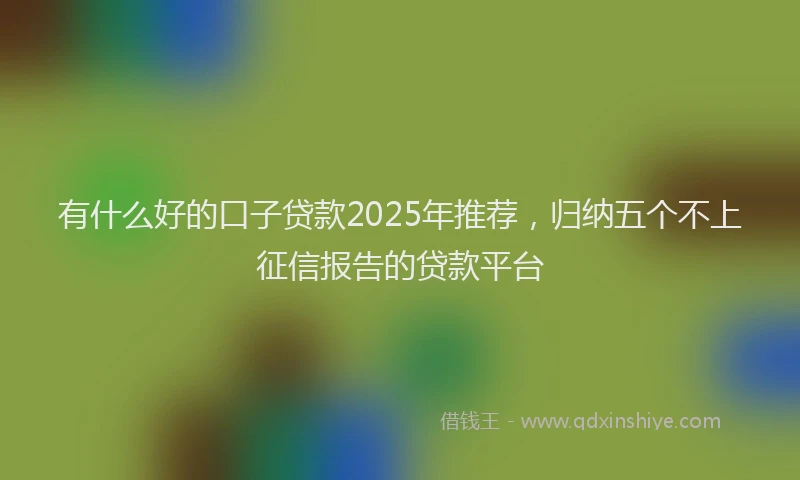 有什么好的口子贷款2025年推荐，归纳五个不上征信报告的贷款平台