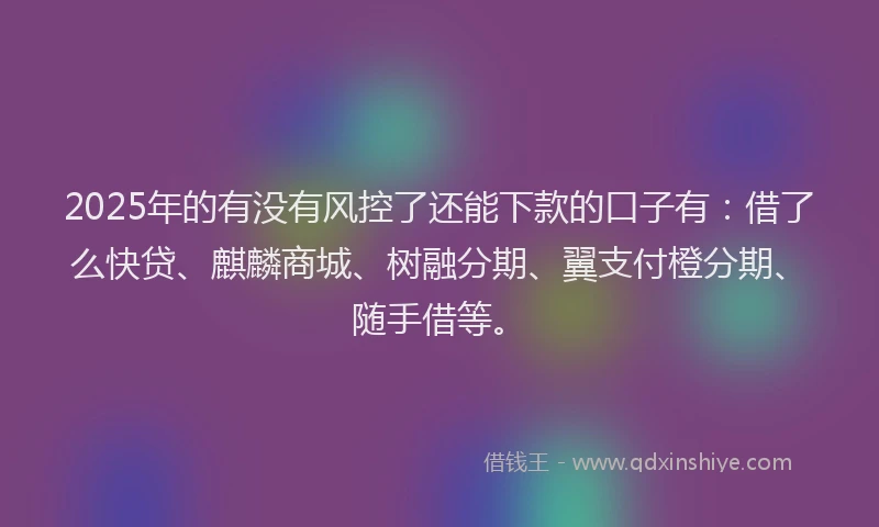 2025年的有没有风控了还能下款的口子有：借了么快贷、麒麟商城、树融分期、翼支付橙分期、随手借等。