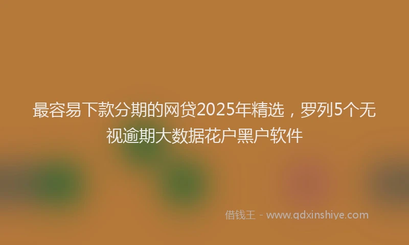最容易下款分期的网贷2025年精选，罗列5个无视逾期大数据花户黑户软件