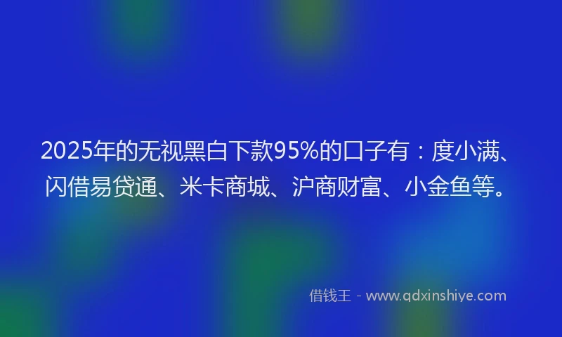 2025年的无视黑白下款95%的口子有：度小满、闪借易贷通、米卡商城、沪商财富、小金鱼等。