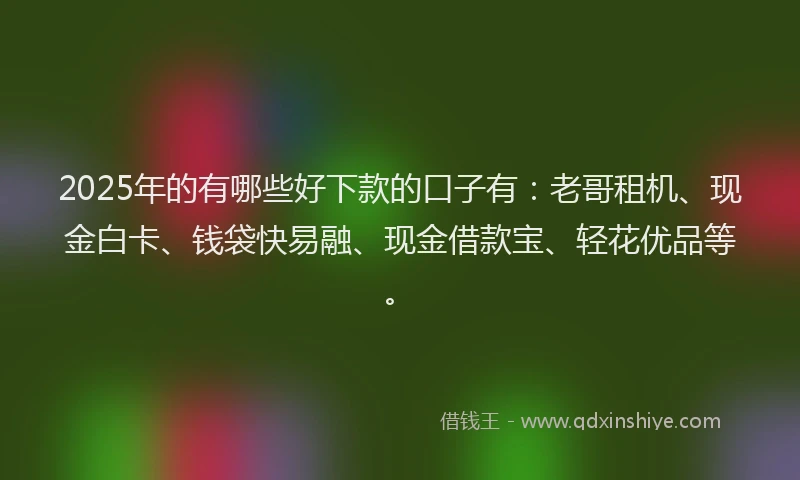 2025年的有哪些好下款的口子有：老哥租机、现金白卡、钱袋快易融、现金借款宝、轻花优品等。