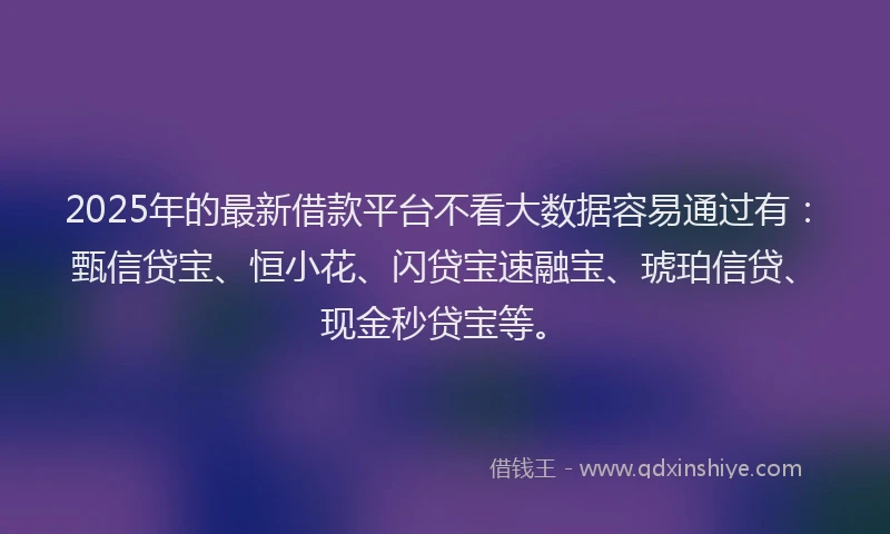 2025年的最新借款平台不看大数据容易通过有：甄信贷宝、恒小花、闪贷宝速融宝、琥珀信贷、现金秒贷宝等。