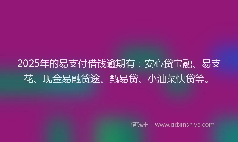 2025年的易支付借钱逾期有：安心贷宝融、易支花、现金易融贷途、甄易贷、小油菜快贷等。