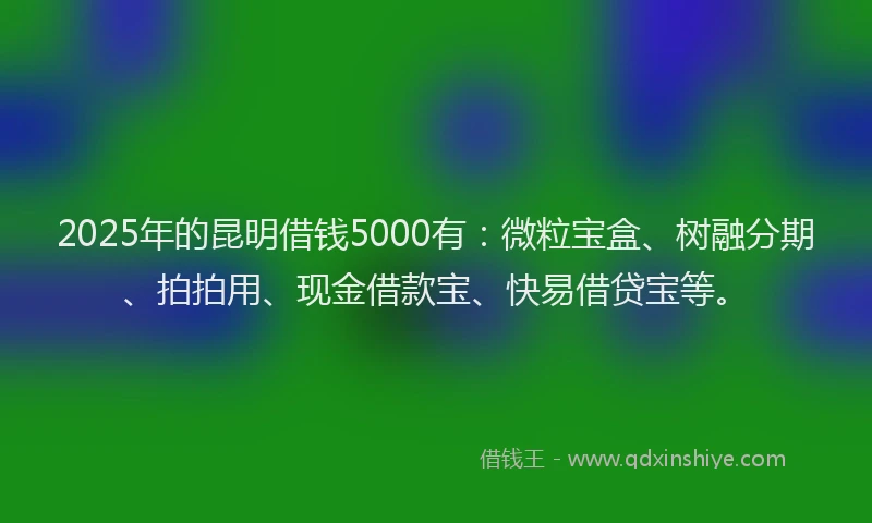 2025年的昆明借钱5000有：微粒宝盒、树融分期、拍拍用、现金借款宝、快易借贷宝等。