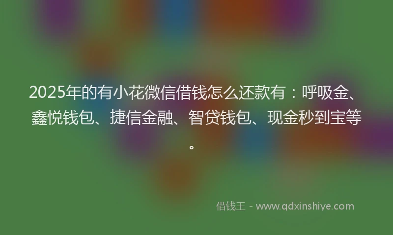 2025年的有小花微信借钱怎么还款有：呼吸金、鑫悦钱包、捷信金融、智贷钱包、现金秒到宝等。