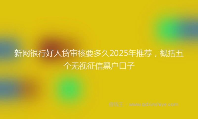 新网银行好人贷审核要多久2025年推荐，概括五个无视征信黑户口子
