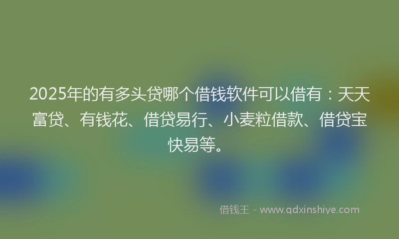 2025年的有多头贷哪个借钱软件可以借有：天天富贷、有钱花、借贷易行、小麦粒借款、借贷宝快易等。