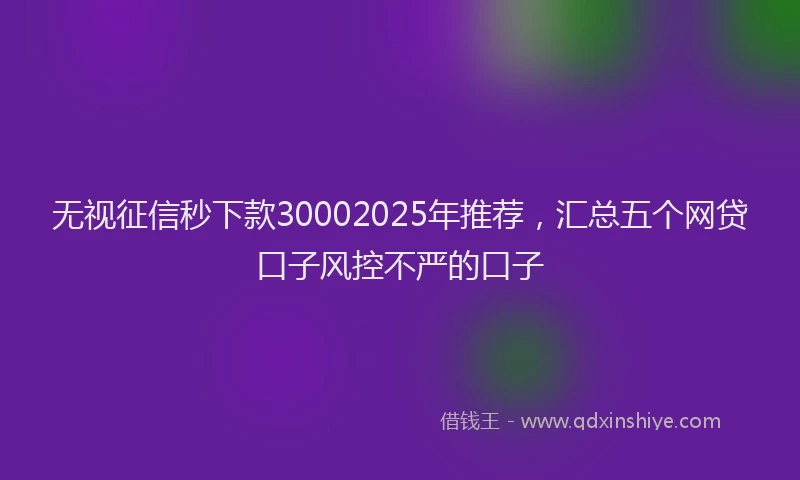 无视征信秒下款30002025年推荐，汇总五个网贷口子风控不严的口子