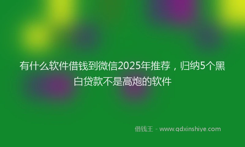 有什么软件借钱到微信2025年推荐，归纳5个黑白贷款不是高炮的软件