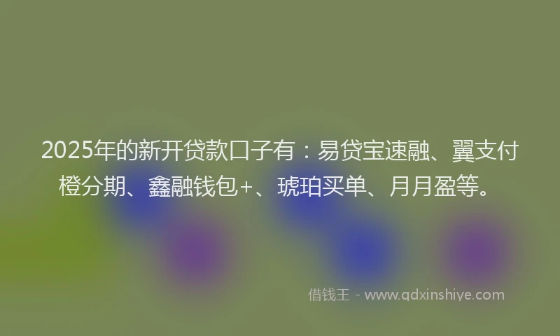 2025年的新开贷款口子有：易贷宝速融、翼支付橙分期、鑫融钱包+、琥珀买单、月月盈等。