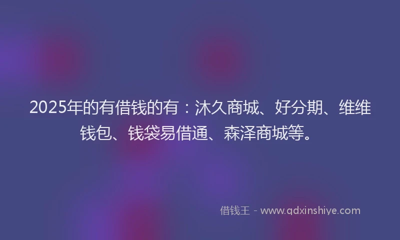 2025年的有借钱的有：沐久商城、好分期、维维钱包、钱袋易借通、森泽商城等。