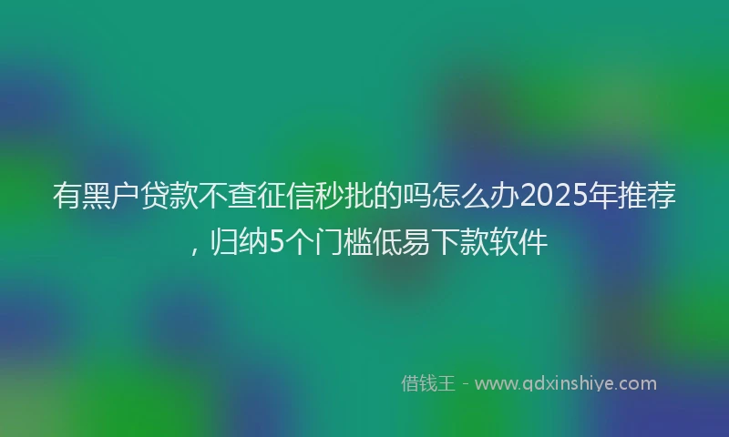 有黑户贷款不查征信秒批的吗怎么办2025年推荐，归纳5个门槛低易下款软件