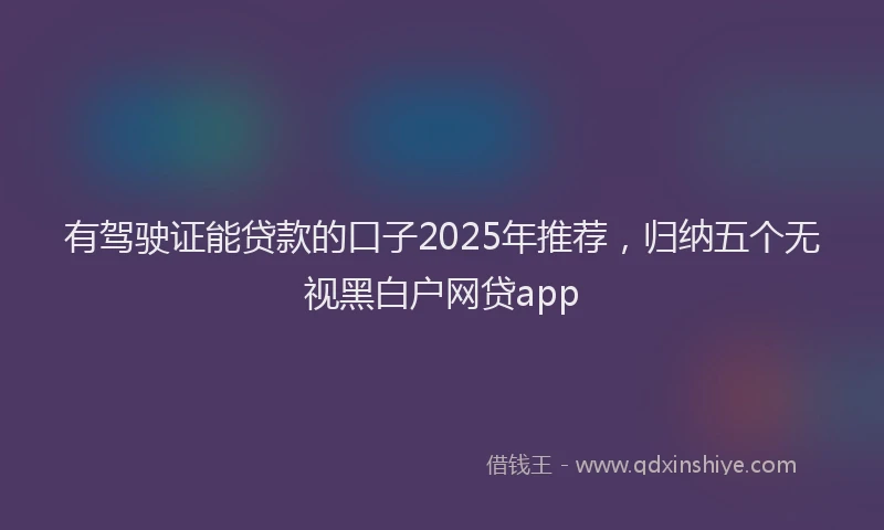 有驾驶证能贷款的口子2025年推荐，归纳五个无视黑白户网贷app