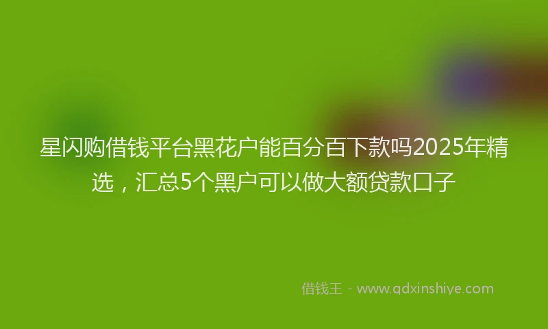 星闪购借钱平台黑花户能百分百下款吗2025年精选，汇总5个黑户可以做大额贷款口子