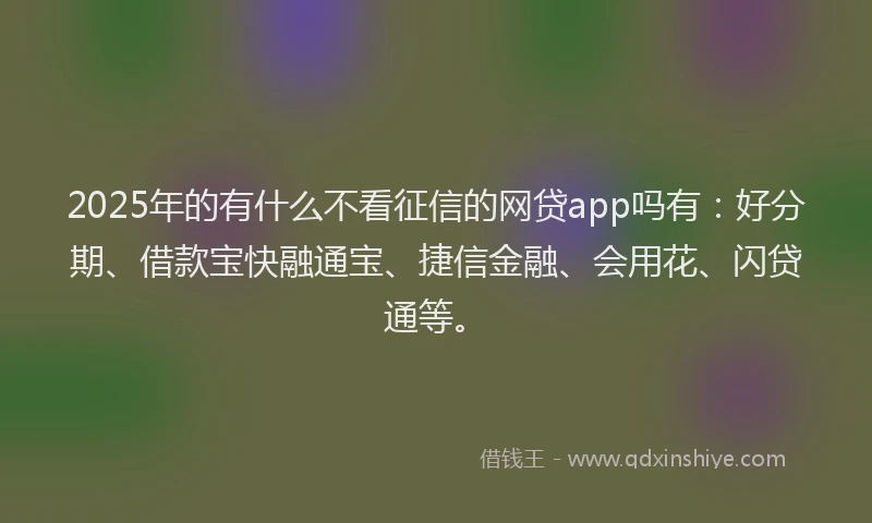 2025年的有什么不看征信的网贷app吗有：好分期、借款宝快融通宝、捷信金融、会用花、闪贷通等。