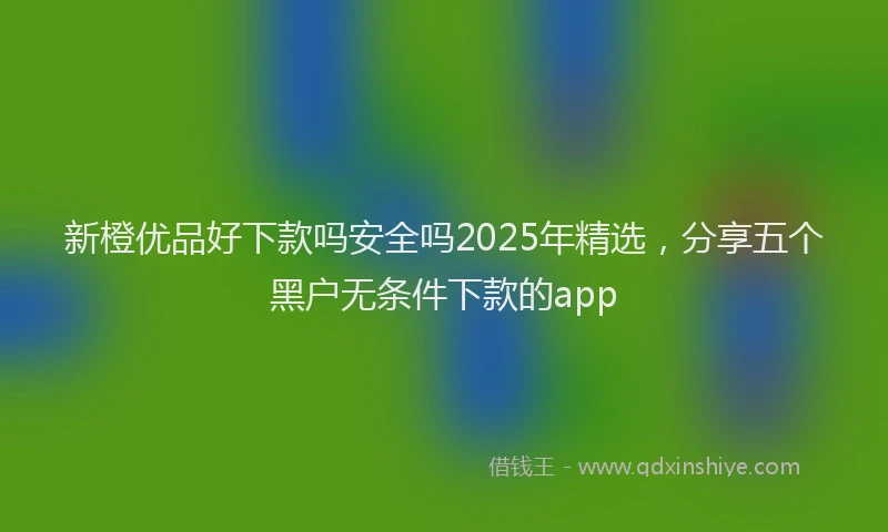 新橙优品好下款吗安全吗2025年精选，分享五个黑户无条件下款的app