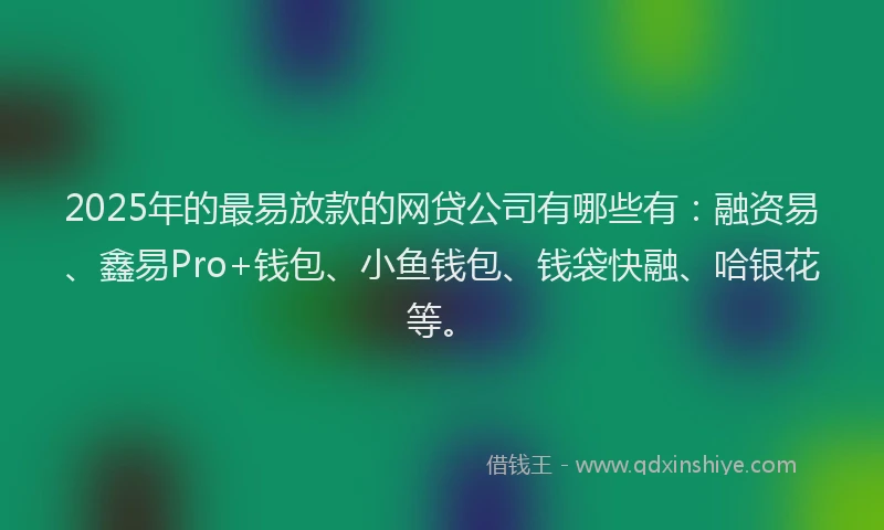 2025年的最易放款的网贷公司有哪些有：融资易、鑫易Pro+钱包、小鱼钱包、钱袋快融、哈银花等。