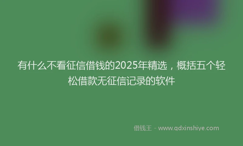 有什么不看征信借钱的2025年精选，概括五个轻松借款无征信记录的软件