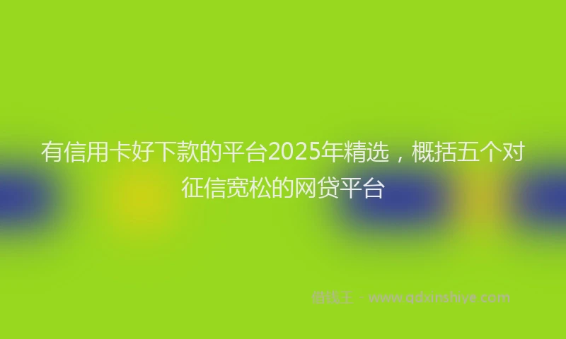 有信用卡好下款的平台2025年精选，概括五个对征信宽松的网贷平台