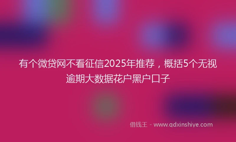 有个微贷网不看征信2025年推荐，概括5个无视逾期大数据花户黑户口子