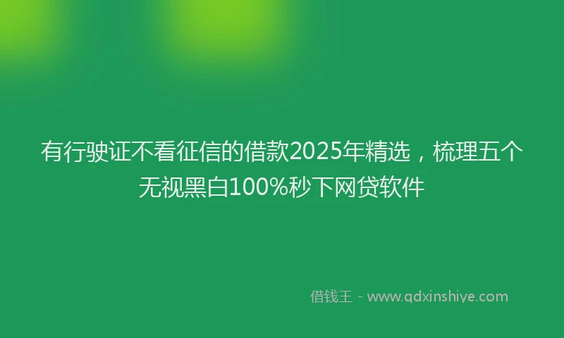 有行驶证不看征信的借款2025年精选，梳理五个无视黑白100%秒下网贷软件