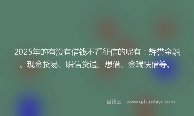 2025年的有没有借钱不看征信的呢有：辉誉金融、现金贷易、瞬信贷通、想借、金瑞快借等。