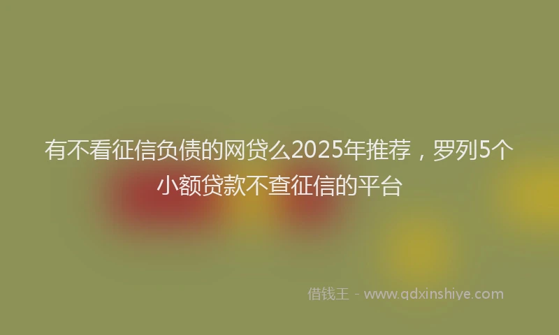 有不看征信负债的网贷么2025年推荐，罗列5个小额贷款不查征信的平台
