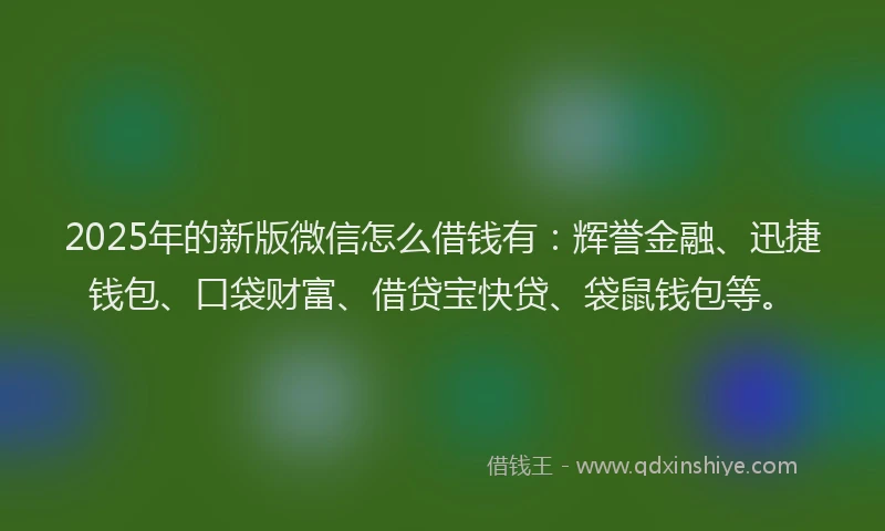2025年的新版微信怎么借钱有：辉誉金融、迅捷钱包、口袋财富、借贷宝快贷、袋鼠钱包等。
