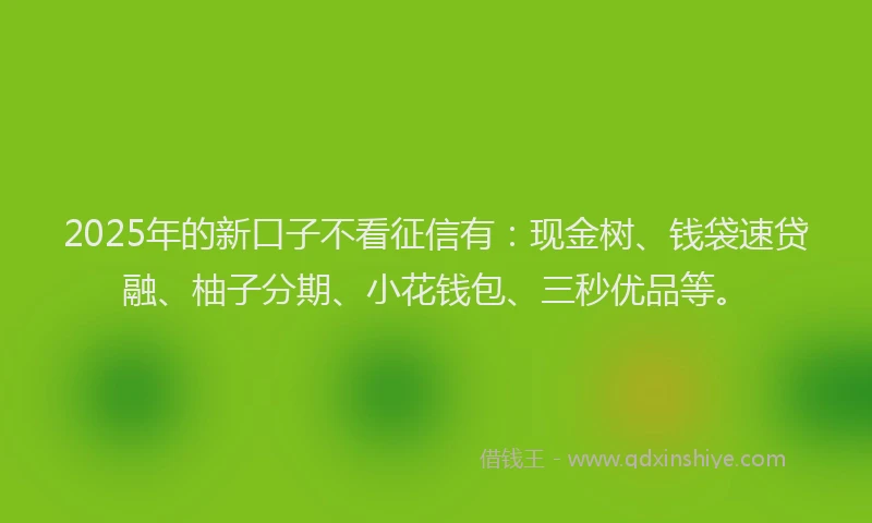 2025年的新口子不看征信有：现金树、钱袋速贷融、柚子分期、小花钱包、三秒优品等。