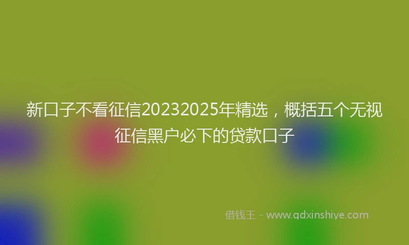 新口子不看征信20232025年精选，概括五个无视征信黑户必下的贷款口子