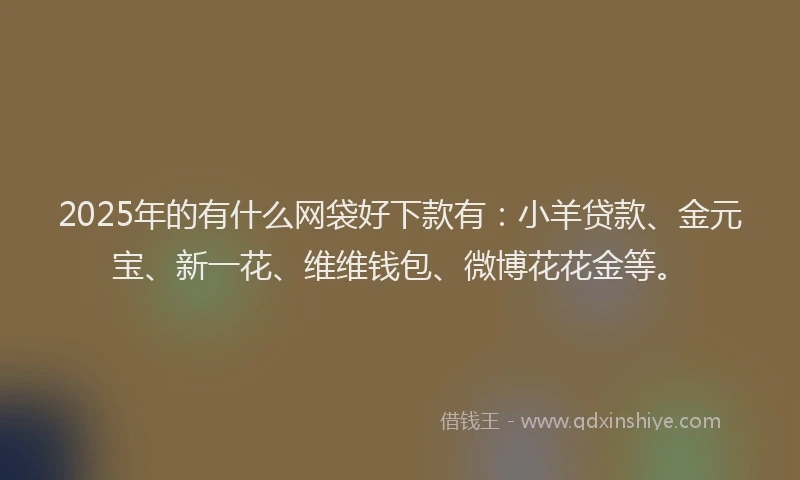 2025年的有什么网袋好下款有：小羊贷款、金元宝、新一花、维维钱包、微博花花金等。