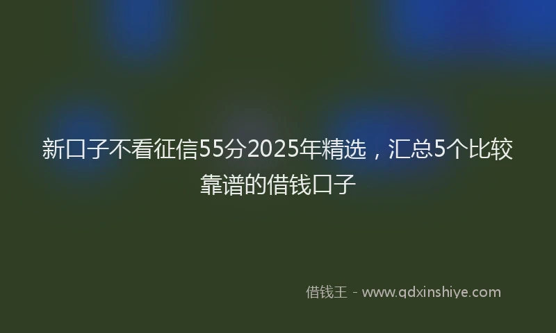 新口子不看征信55分2025年精选，汇总5个比较靠谱的借钱口子