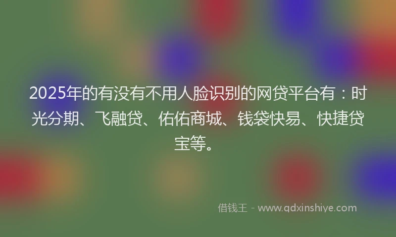 2025年的有没有不用人脸识别的网贷平台有：时光分期、飞融贷、佑佑商城、钱袋快易、快捷贷宝等。