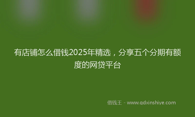 有店铺怎么借钱2025年精选，分享五个分期有额度的网贷平台