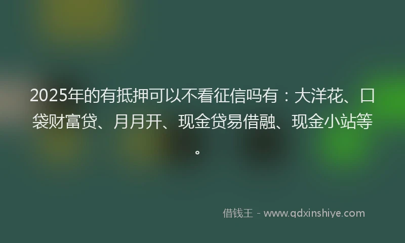 2025年的有抵押可以不看征信吗有：大洋花、口袋财富贷、月月开、现金贷易借融、现金小站等。