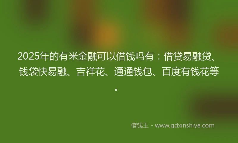 2025年的有米金融可以借钱吗有：借贷易融贷、钱袋快易融、吉祥花、通通钱包、百度有钱花等。