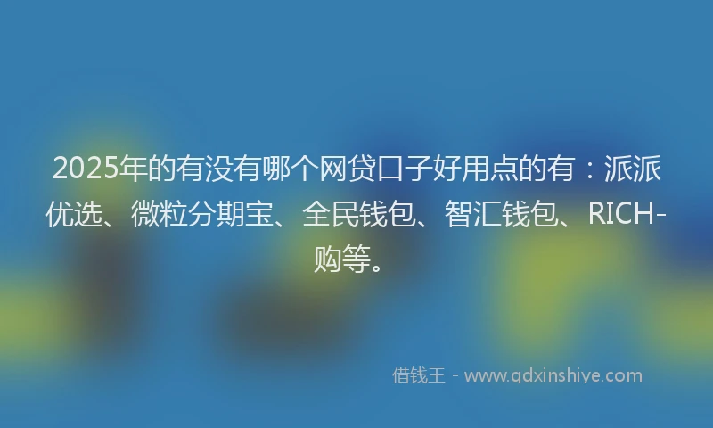 2025年的有没有哪个网贷口子好用点的有：派派优选、微粒分期宝、全民钱包、智汇钱包、RICH-购等。