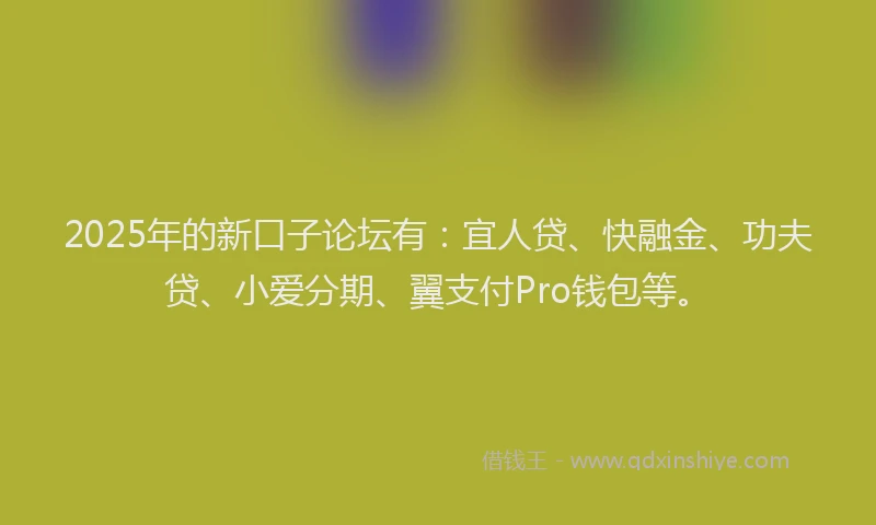 2025年的新口子论坛有：宜人贷、快融金、功夫贷、小爱分期、翼支付Pro钱包等。