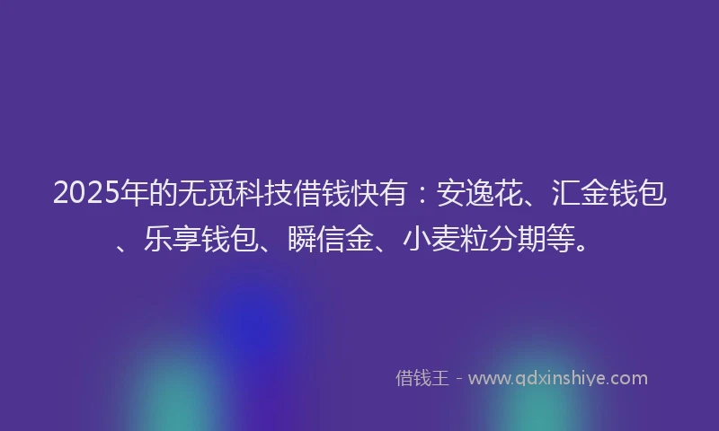2025年的无觅科技借钱快有：安逸花、汇金钱包、乐享钱包、瞬信金、小麦粒分期等。