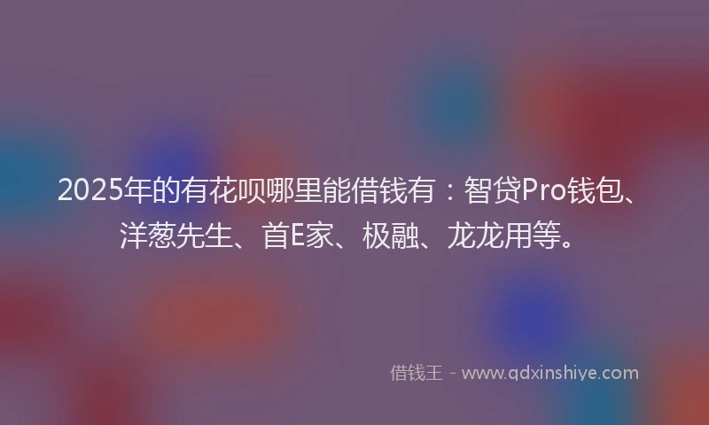 2025年的有花呗哪里能借钱有：智贷Pro钱包、洋葱先生、首E家、极融、龙龙用等。