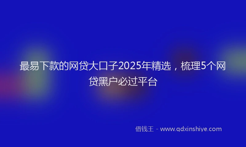 最易下款的网贷大口子2025年精选，梳理5个网贷黑户必过平台