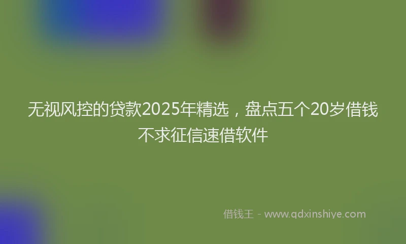 无视风控的贷款2025年精选，盘点五个20岁借钱不求征信速借软件