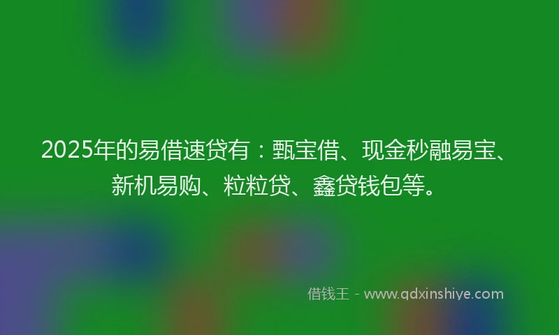 2025年的易借速贷有：甄宝借、现金秒融易宝、新机易购、粒粒贷、鑫贷钱包等。