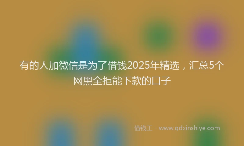 有的人加微信是为了借钱2025年精选，汇总5个网黑全拒能下款的口子