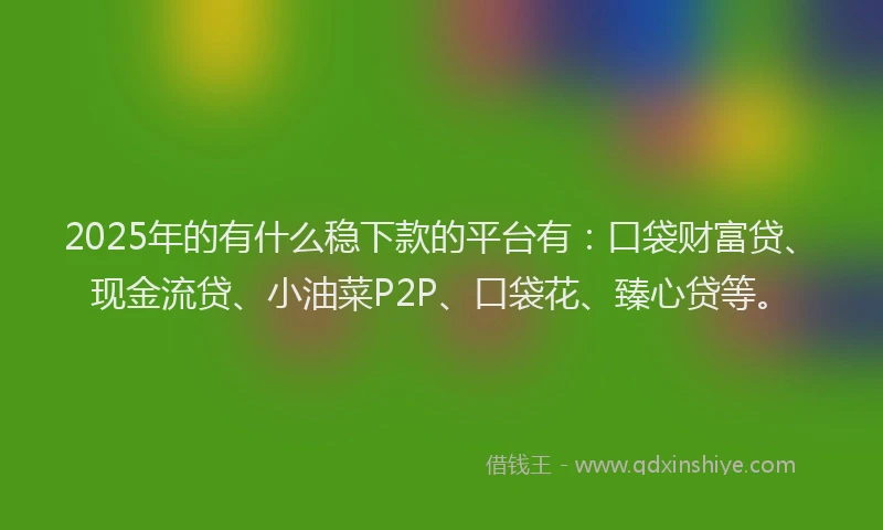 2025年的有什么稳下款的平台有：口袋财富贷、现金流贷、小油菜P2P、口袋花、臻心贷等。
